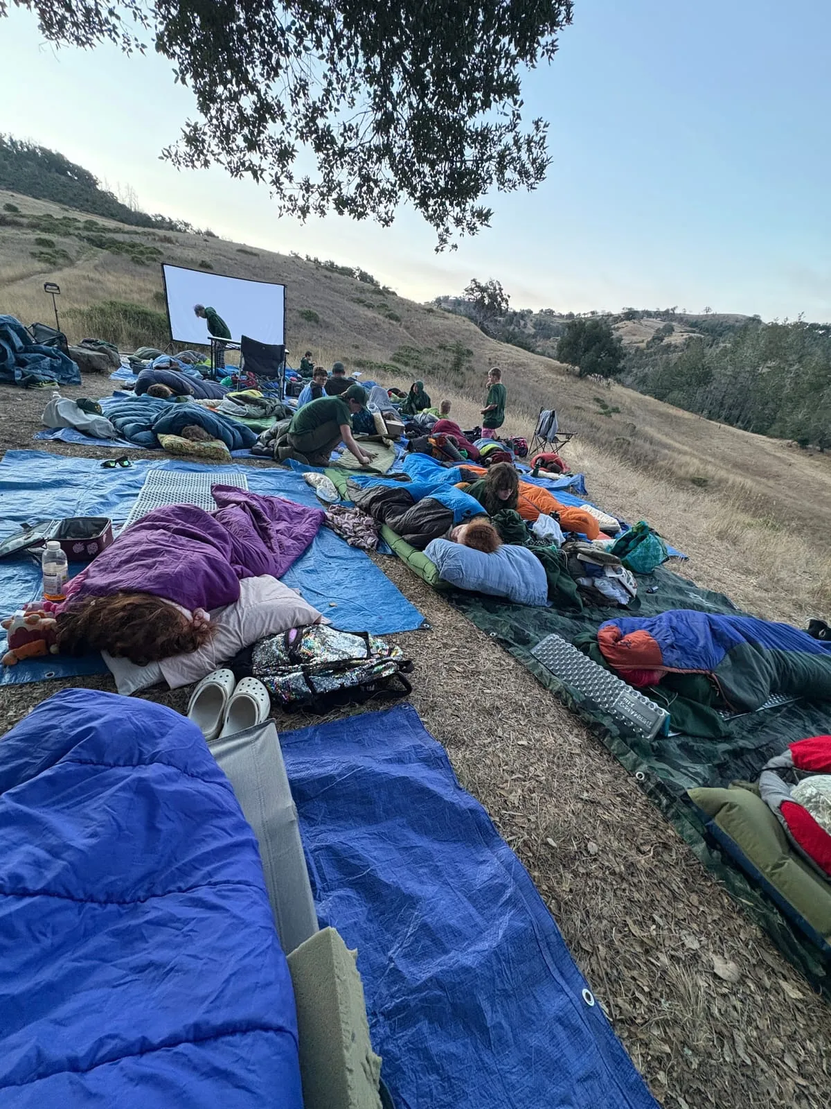 Scouts in sleeping bags on tarps across a grassy hillside at dusk, settling in to sleep outdoors.